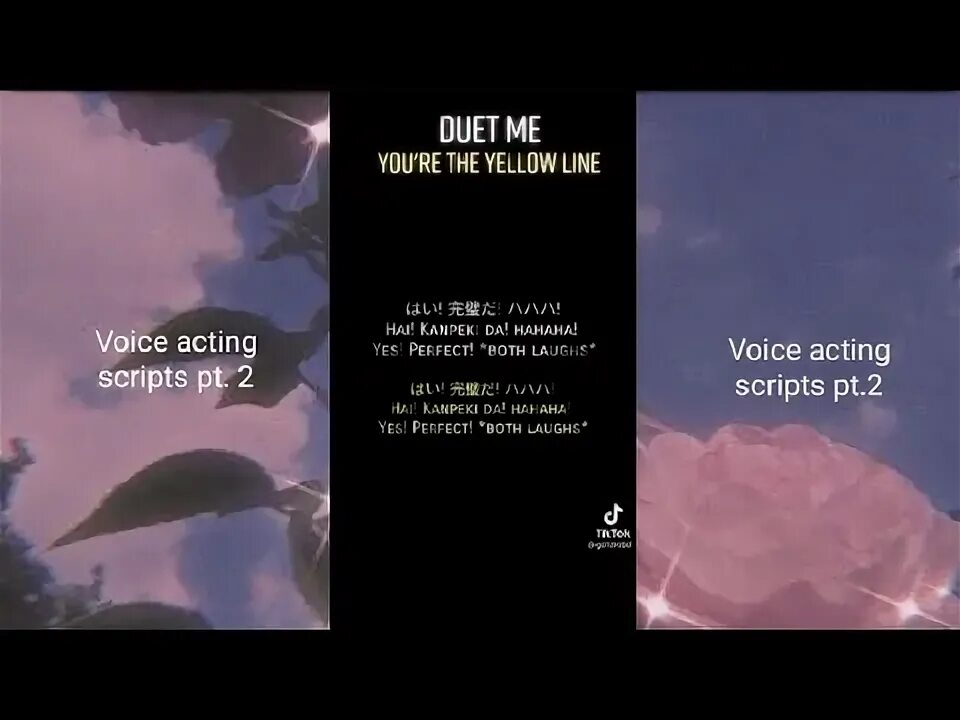 Voice script. Voice script