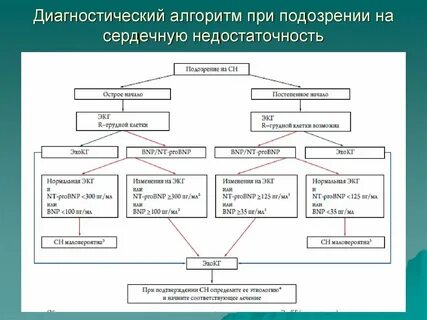 Алгоритм сердца