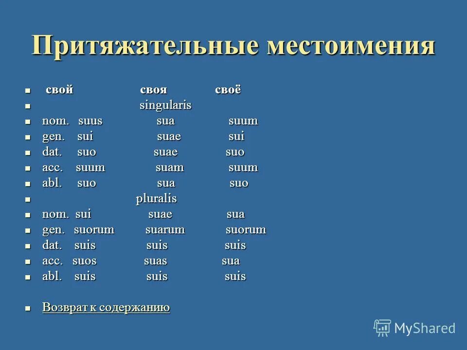 Вставьте определительное местоимение егэ. Вставьте определительное местоимение егэ