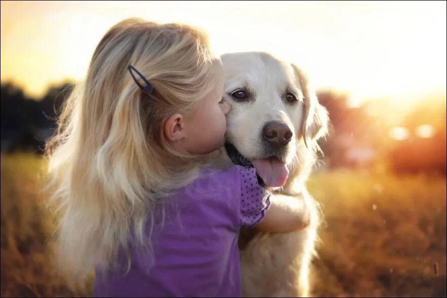 Девочка живет с собаками. Девочка с собачкой. Золотистый ретривер и дети. Девочка с собакой. Дети и животные Дружба.