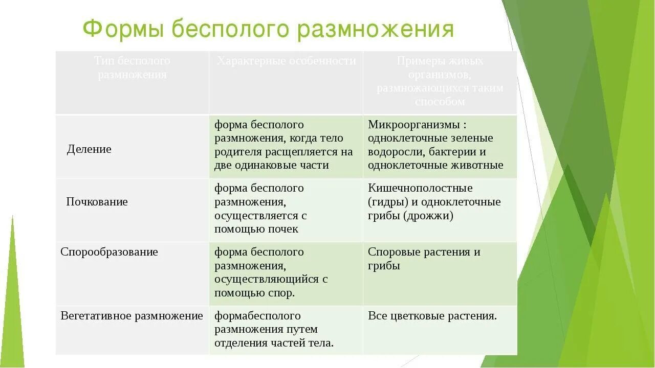 Размножение способ особенности примеры биология таблица. Способы бесполого размножения таблица с примерами. Способы бесполого размножения таблица 6 класс. Таблица по биологии 9 класс способы бесполого размножения.