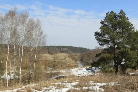 Искона парк отзывы