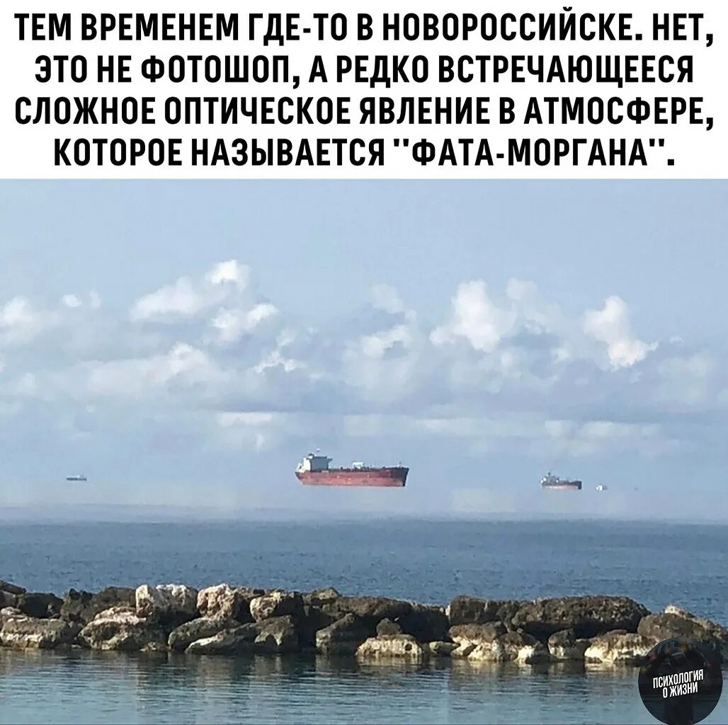 Всего встречается где то