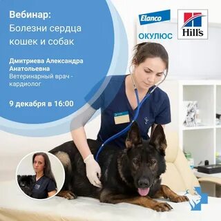 Хозяин болезней