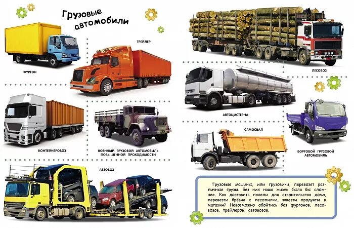 Название грузовых. Грузовой транспорт виды для детей. грузовые машины для детей названия. грузовые машины назааемя. грузовые машинины название.