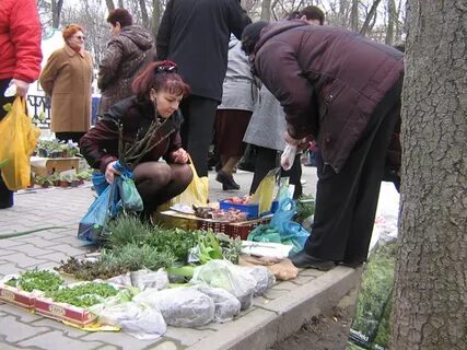 Черевичкина выставка цветов