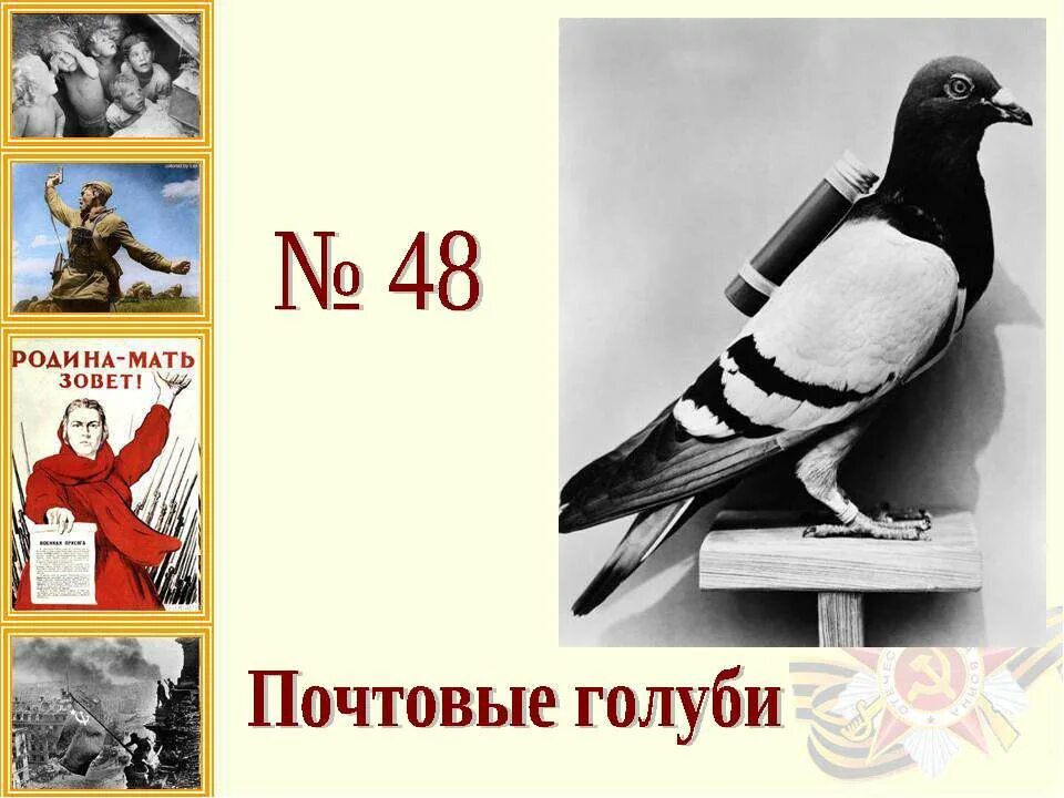 голуби почтовые песня о родине для детей