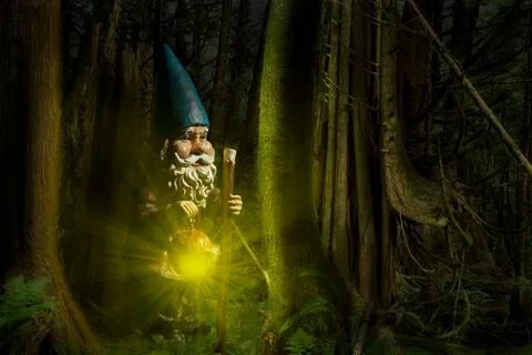 Forest gnome