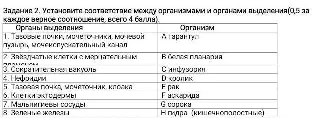 Между какими организмами устанавливаются. Установите соответствие между животными и их органами выделения. Установите соответствие между организмами. Выделительная система простейших таблица. Группа животных органы выделения таблица.