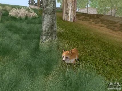 Wildlife build