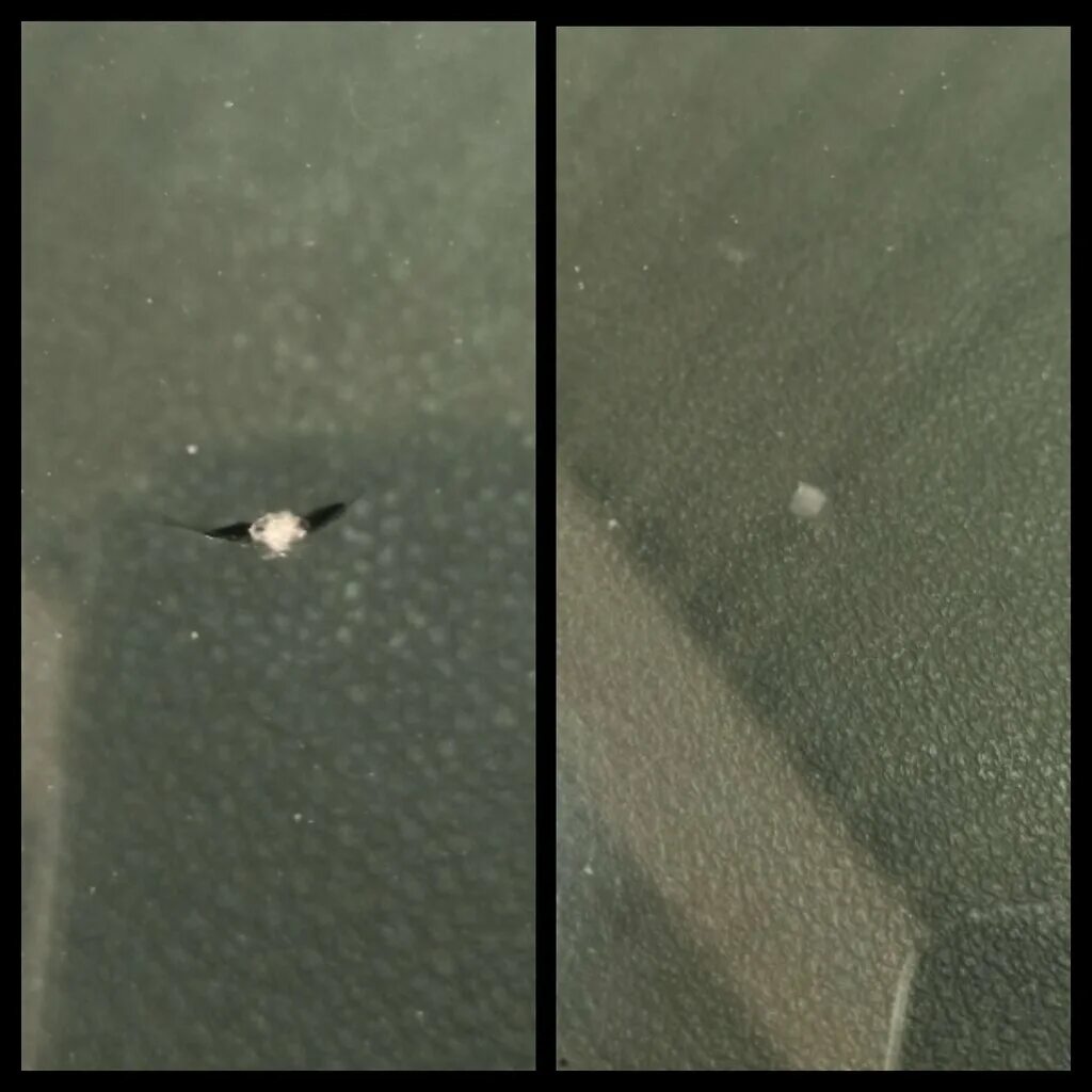 скол на лобовом стекле. скол на стекле. сделать скол на лобовом стекле. скол на лобовом стекле. лобовое стекло блик е39 серебро.