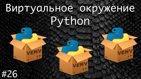 Virtual python