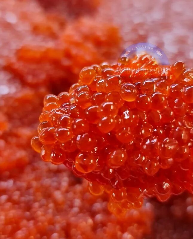 Сушеная красная икра. Икра рыбы. Икра с маслом. Икра горбуши вяленая. Сухая икра.