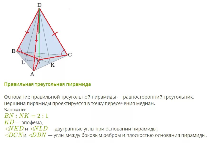 Что является основанием правильной пирамиды. Основание правильной треугольной пирамиды. Боковое ребро четырехугольной пирамиды. Боковое ребро правильной четырехугольной пирамиды. Ребра правильной пирамиды.