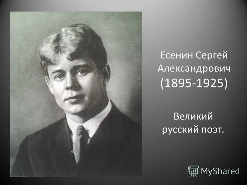 Годы жизни серого. Есенин портрет.