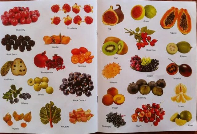 Фрукты название фруктов. Название фруктов. Названия фруктов для детей. Фрукты и ягоды на английском языке. Фрукты и ягоды с названиями.