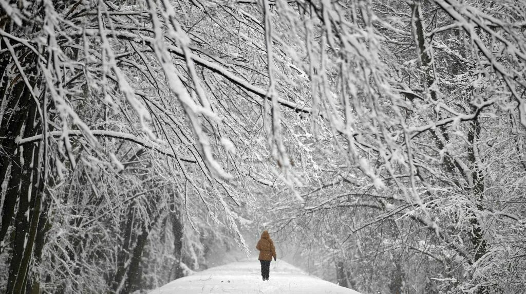 Флотилия рэдиссон зимой. Going through the snow. Фотосессия когда идет густой снег. Through snow. Женщина уходит зима.