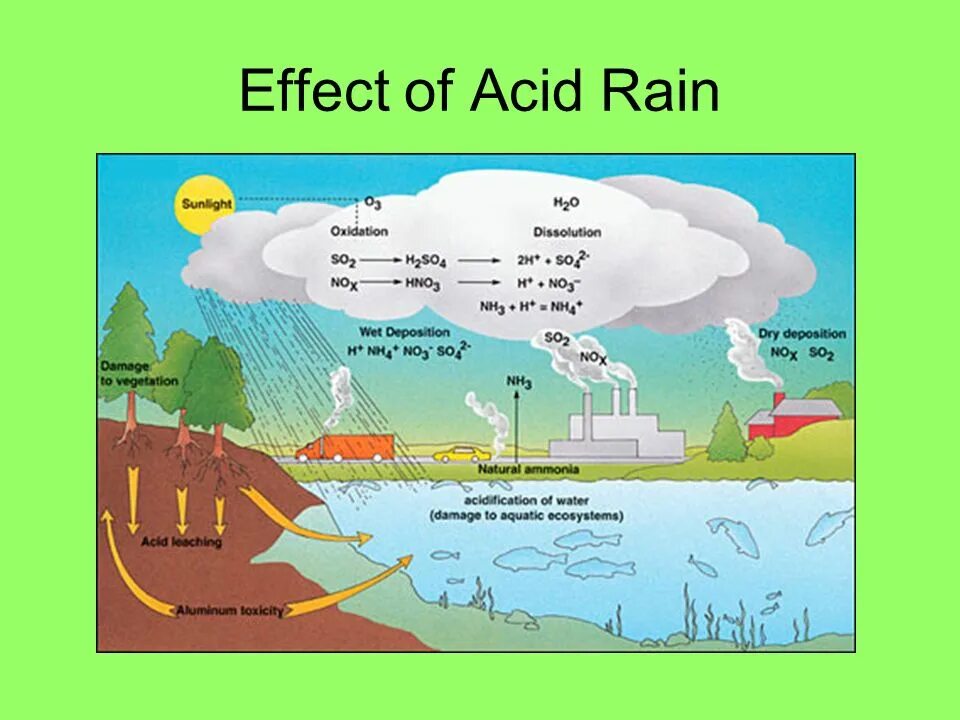 Английский 7 класс стр 77 acid rain. Кислотные дожди. Кислотный дождь в Англии. Acid Rain Effects. Схема образования кислотных дождей на английском.