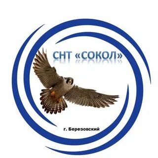 Сокол екатеринбург