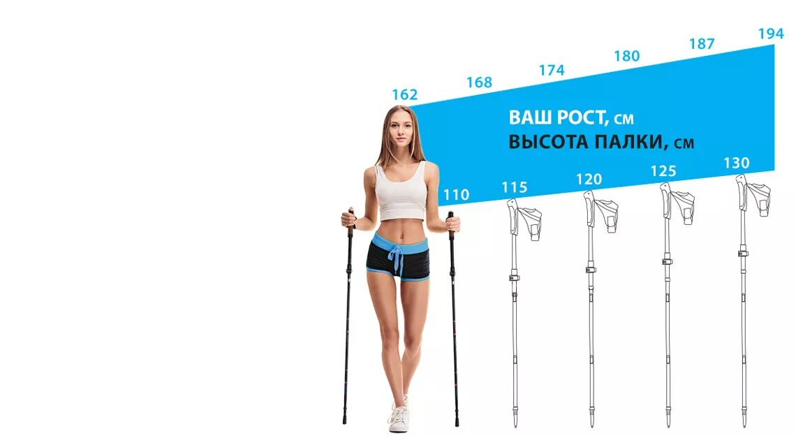 высота скандинавских палок. высота скандинавских палок. как правильно подобрать длину палок для скандинавской ходьбы. как выбрать размер палок для скандинавской ходьбы по росту таблица. таблица длины палок для скандинавской ходьбы и роста человека.
