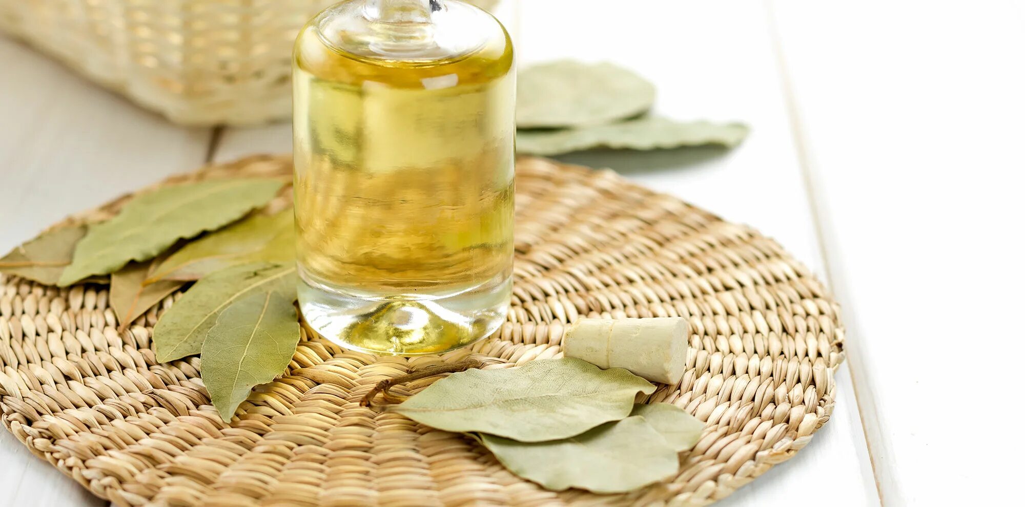 эфирное масло "лавра". лавровое масло. масло лаврового листа как сделать. лечебная мазь из лаврушки. масло лаврового листа как сделать.