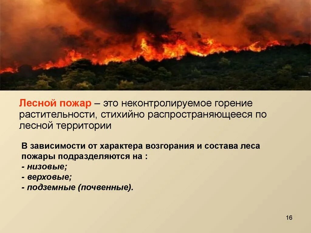 Лесной пожар это неконтролируемое горение. Лесной пожар это неконтролируемое горение растительности. Неконтролируемое горение растительности. Неконтролируемое горение растительности стихийно.