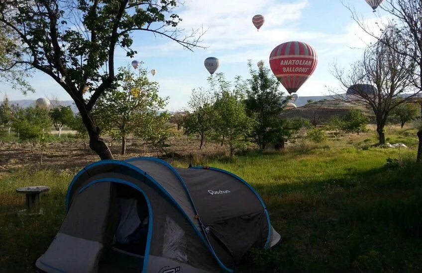 Route camping. Кэмп Роут гнезда.