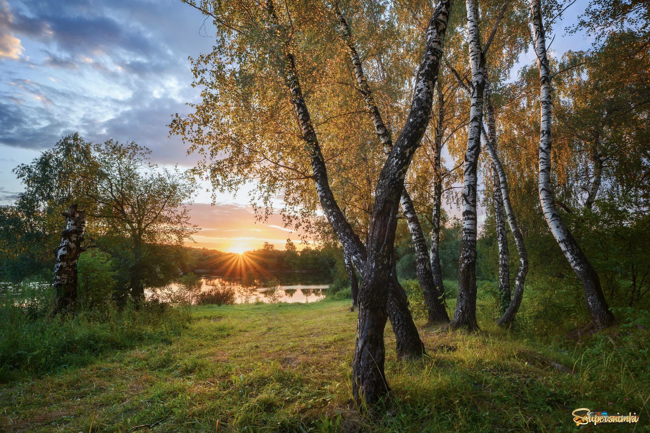 Тульская березка. Березовая роща Тульская область. Вечерняя Заря Берёзовая роща. Россия Русь Березки тополя. Подмосковные Рощи Пастернак.