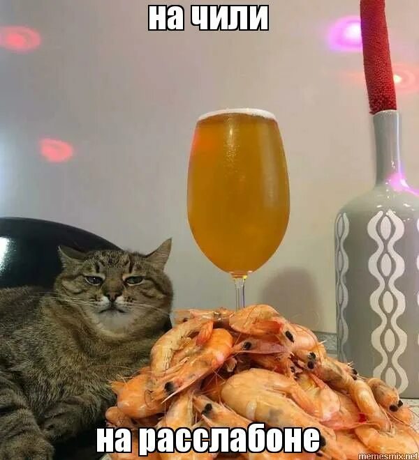 как вы здесь живете на расслабоне. как вы здесь живете на расслабоне. расслабон или расслабон. как вы здесь живете на расслабоне. расслабон.