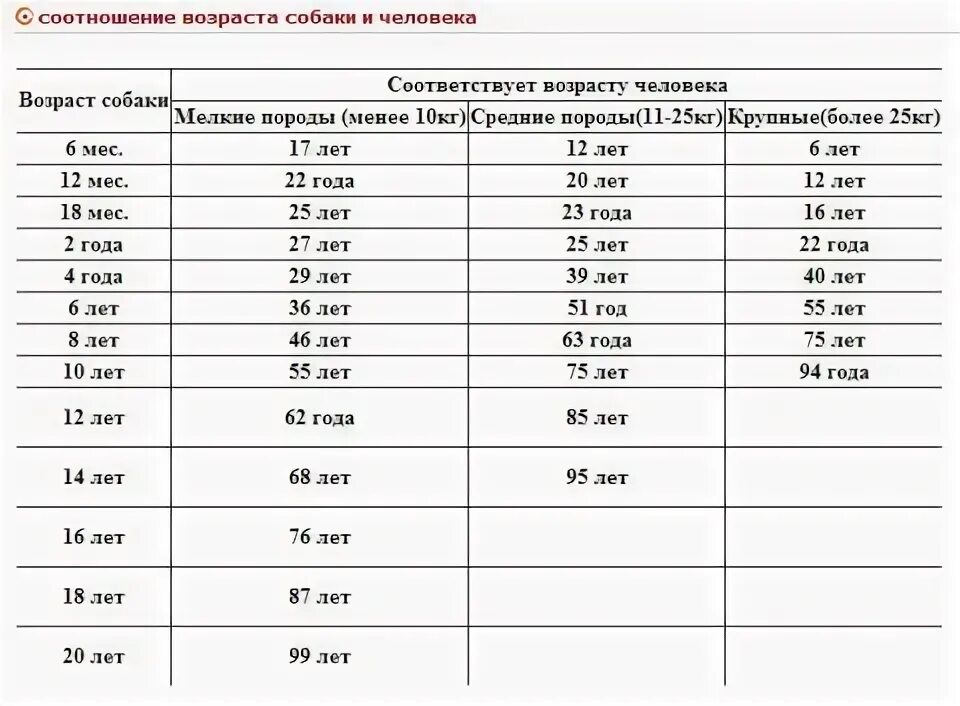 Собака по человеческому возрасту. Возраст собаки в человеческих годах в таблице немецкой овчарки. Соответствие возраста собаки и человека таблица. Собачий Возраст по человеческим меркам 3 года. Соответствие возраста собаки и человека.