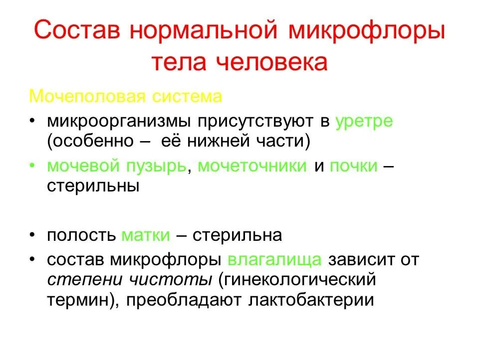 Виды нормальной микрофлоры. Состав нормальной микрофлоры человека. представители нормальной микрофлоры организма человека. виды нормальной микрофлоры человека. характеристика нормальной микрофлоры человека.