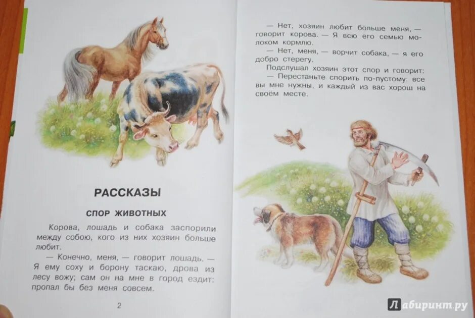 Пересказ рассказа ушинского. Рассказы к д Ушинского для детей. К Д Ушинский рассказы для детей.