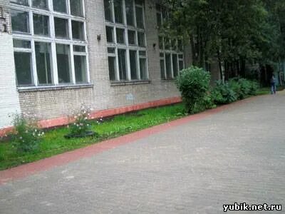 15 королев