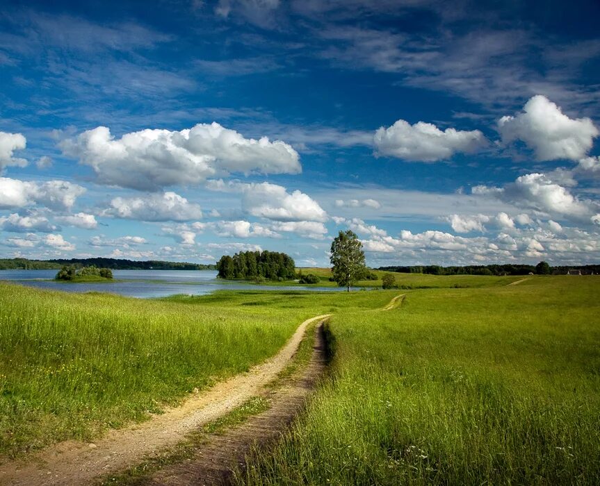 Родной край. Родимый край. Тропинками родного края. Родные тропинки. Отчей земле