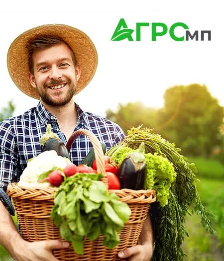Фермерство программа. Фермерство программа