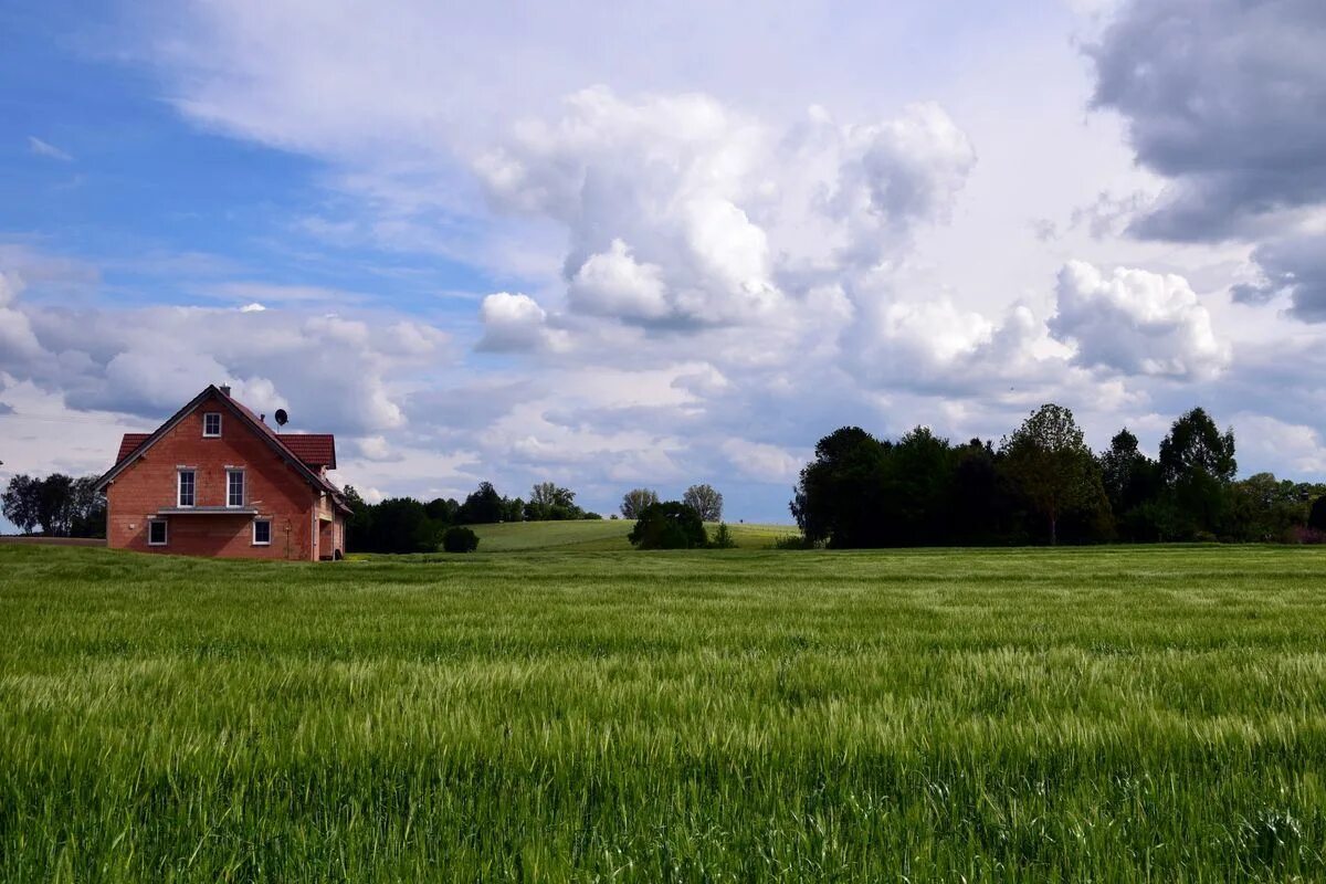 каменная крыша. газон на кровле. крыша из дерна. медная гибкая черепица haussman. крыша погреба.