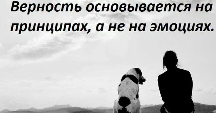 Реклама верность. Цитаты про верность и преданность. верность людей. преданность картинки. верность в дружбе.