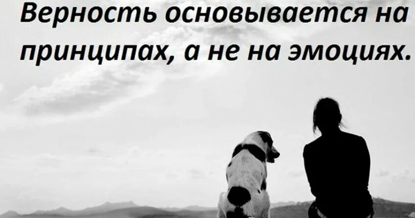 Верность август. Цитаты про верность и преданность. Верность людей. Преданность картинки. Верность в дружбе.