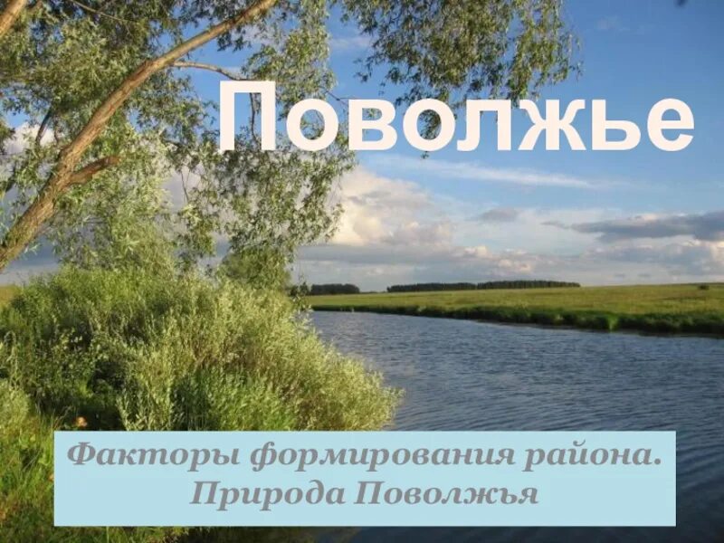 Природа Поволжья 9 класс. Природа Поволжья презентация. Особенности природы Поволжья 9. Сообщение о природе Поволжья. Какие особенности природы поволжья отрицательно