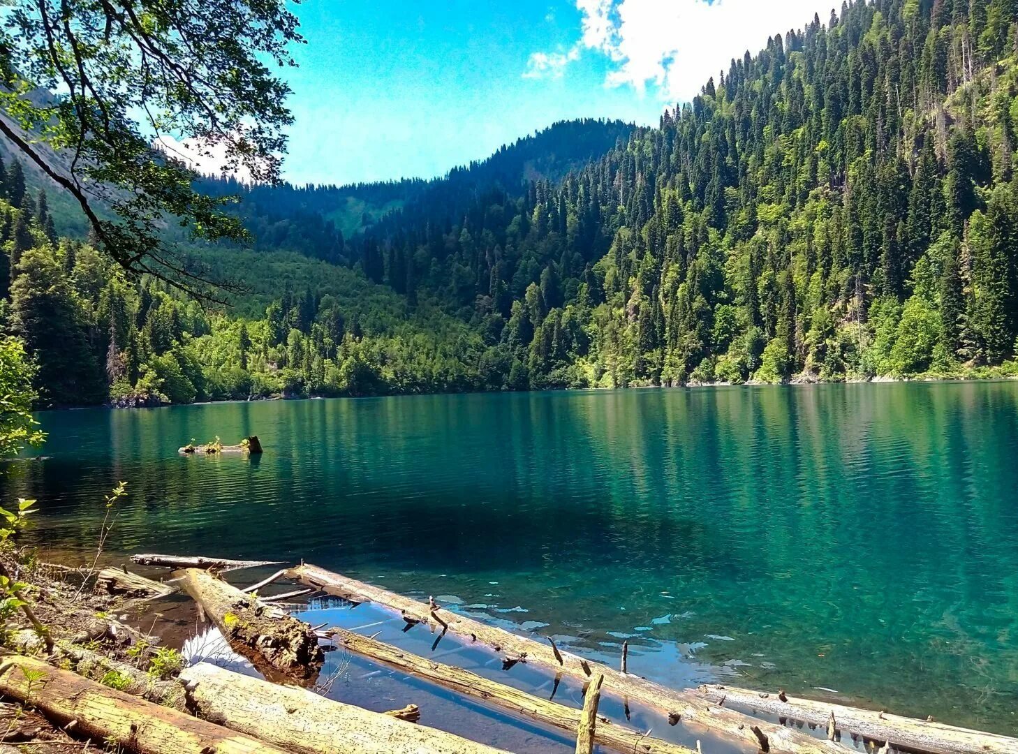 Рицинский реликтовый национальный парк абхазия. Озеро малая рица. Озеро рица абхазия. Сочи малая рица. Озеро малая рица.