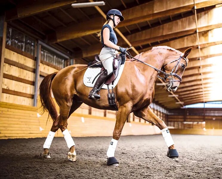 конный спорт. общение с лошадьми. минусы конного спорта. падение с лошади конкур. наездница.