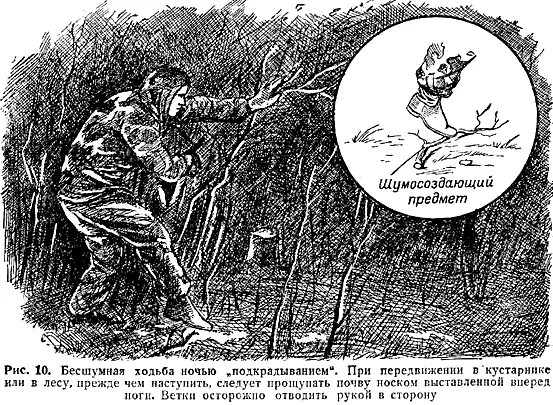 почему тигр ходит бесшумно. разведчики ночью. хожу бесшумно. если вы принесли радость заходите без стука. прогулка по зоопарку.