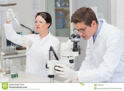 Scientist are working