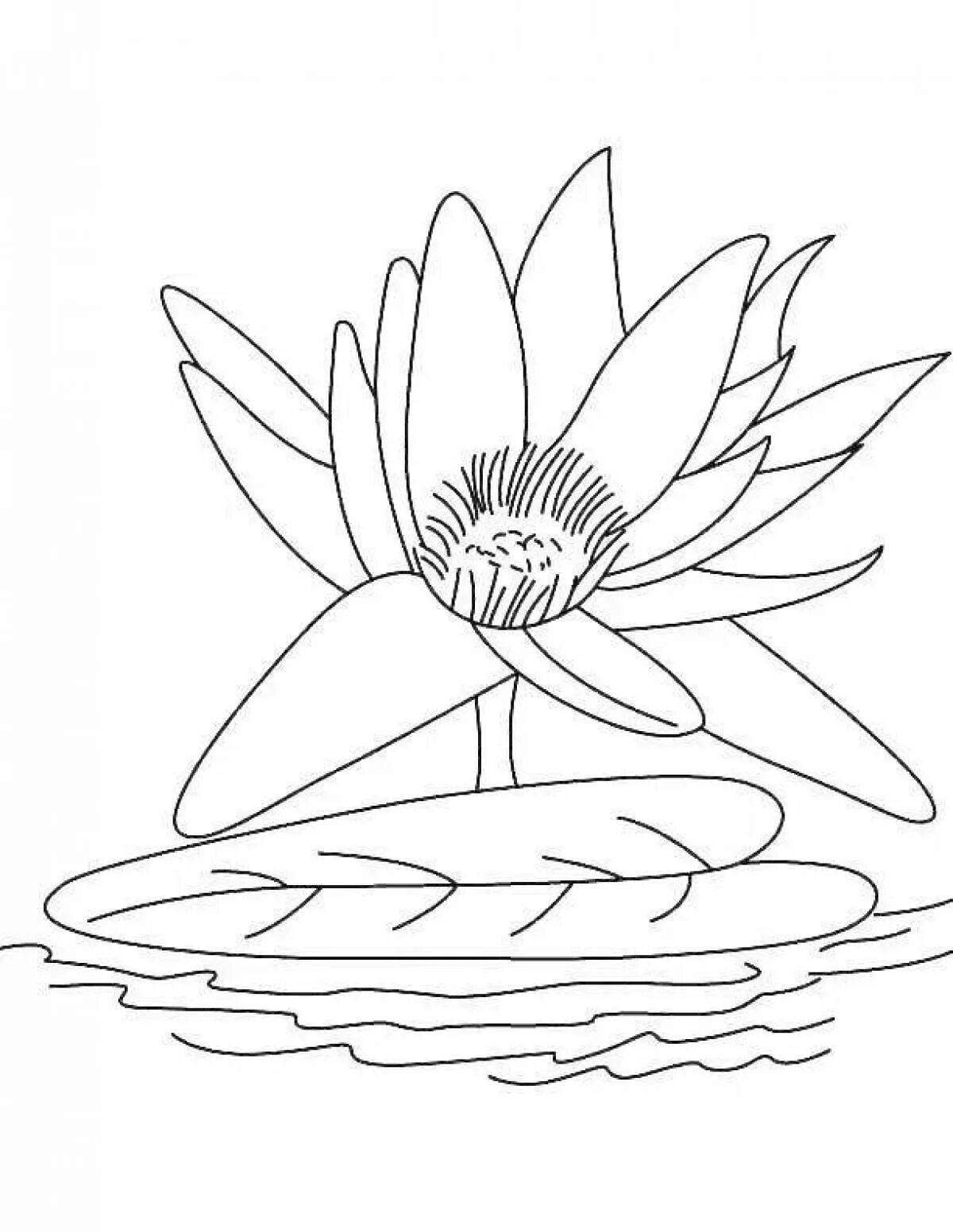 Кувшинка для вырезания. Кувшинка белая водяная лилия рисунок. кувшинка раскраска. кувшинка раскраска для детей. кувшинка белая раскраска.
