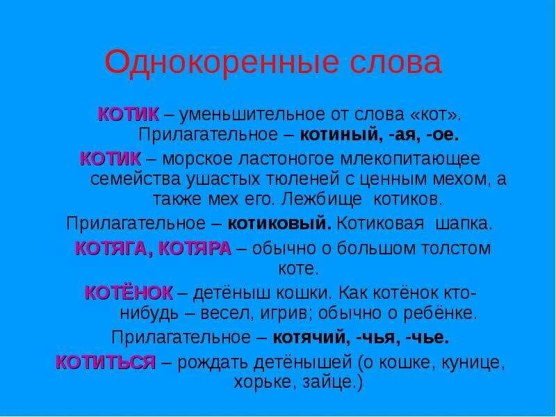 Кот однокоренные слова. Прилагательное от слова кот. Слова с корнем кот. Однокоренные слова к слову кот.