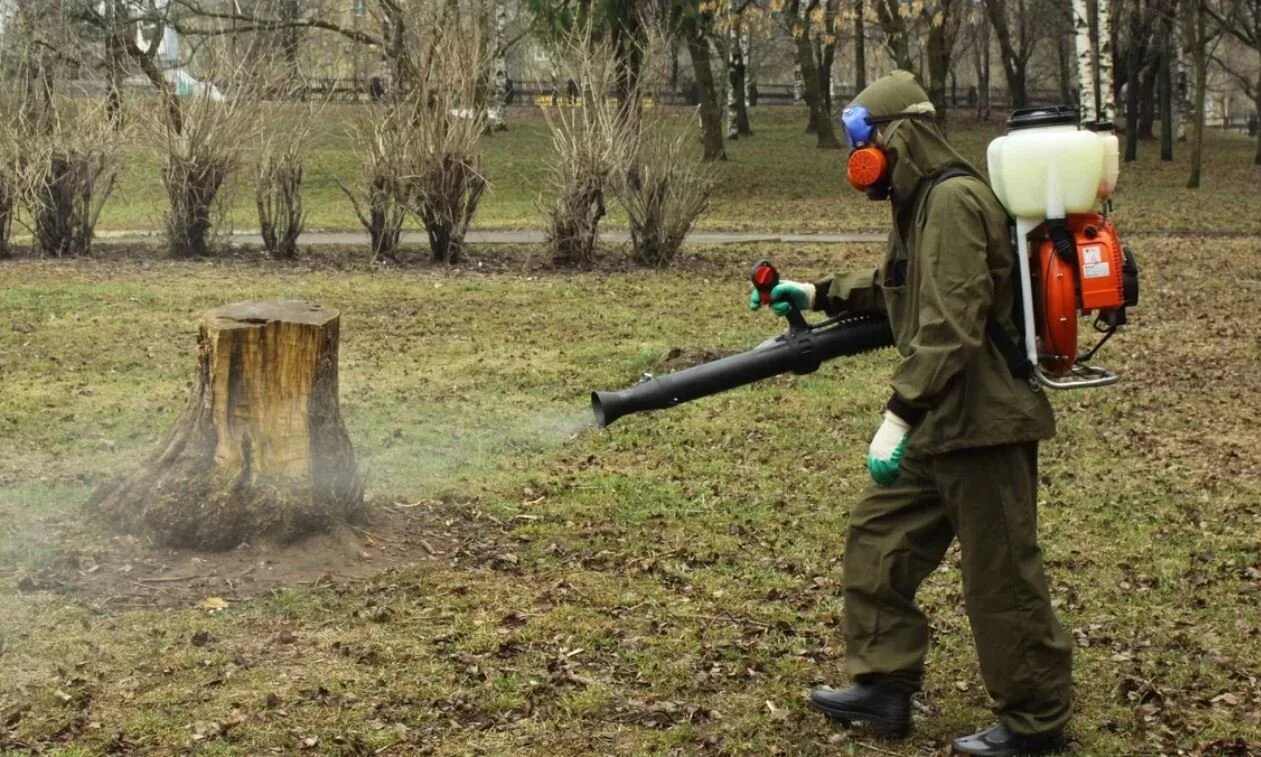 Акарицидная обработка. Акарицидная обработка территории от клещей. Акарицидная обработка. Дезинсекция комаров. Обработка участков от клещей.