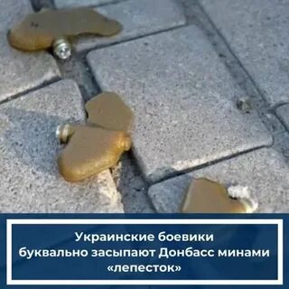 Лепесток взрывное устройство фото