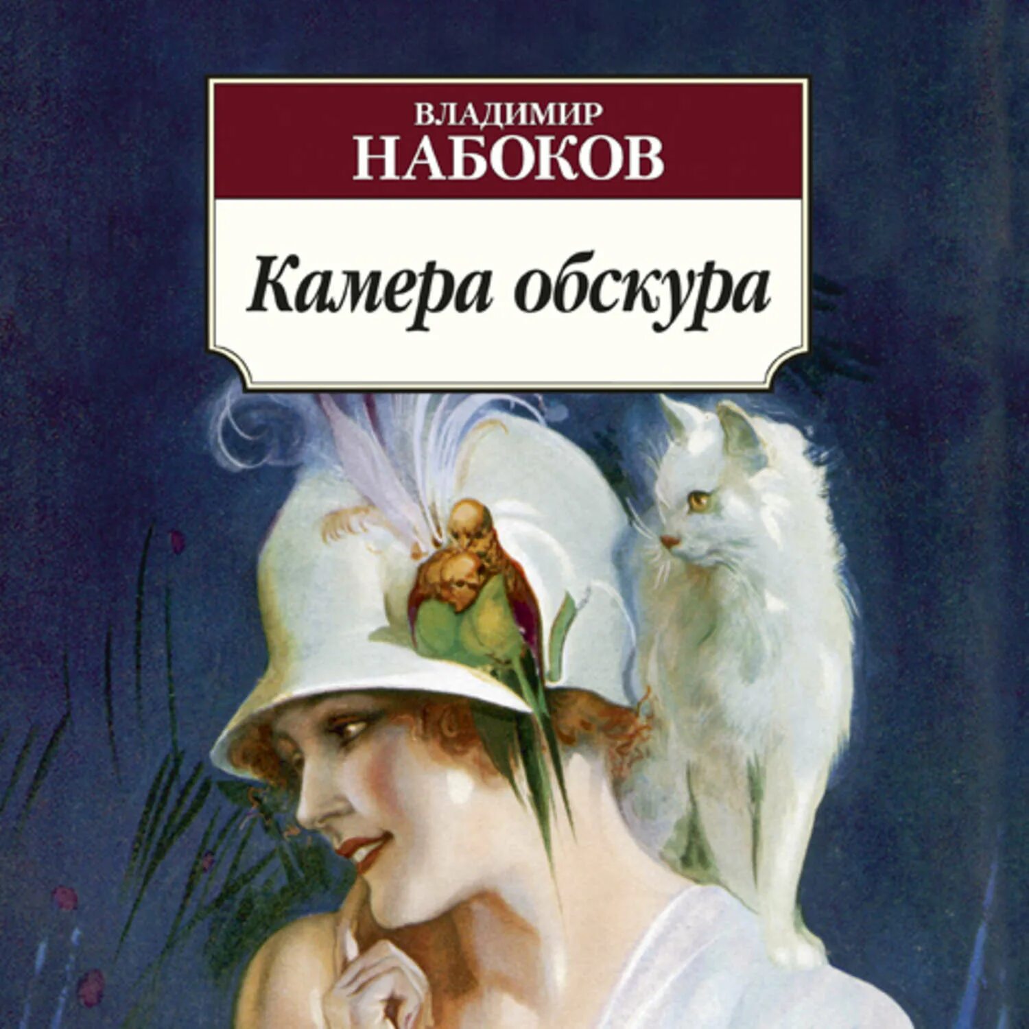 Лучшие произведения набокова. Набоков в.в. «камера обскура» (1933). Камера обскура Набоков книга. Набоков о романе камера обскура.