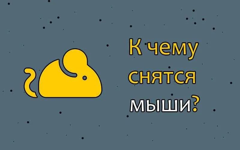 Снится много мышей к чему женщине