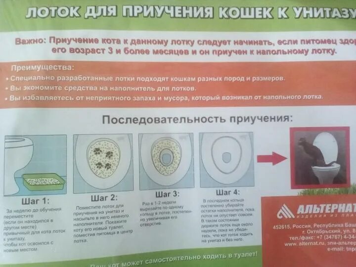 Как приучить кошку к унитазу после лотка. Лоток д/приучения кошек к унитазу м5998. туалет для приучения кошек к унитазу инструкция. комплекс для приучения кошки к унитазу изысканные манеры. система приучения кошек к унитазу вака.